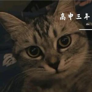 少一点天分(÷音)