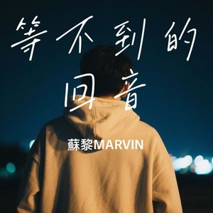 等不到的回音