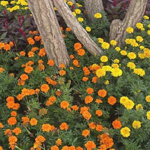 兄弟别逃(PROD BY DIVEN MUSIC）