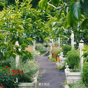 适合专注丰富的音乐