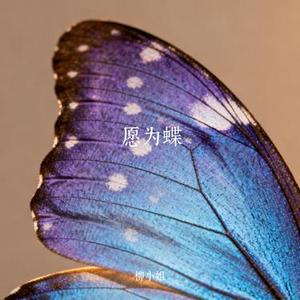 愿为蝶 (Cover 破费特)