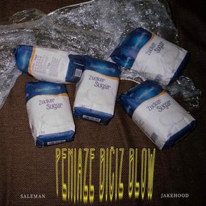 Peniaze Bičiz Blow (feat. Jake Hood)