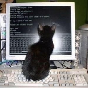 ・*。@IPlayTheHulusi＠。*・