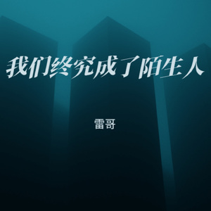 我们终究成了陌生人