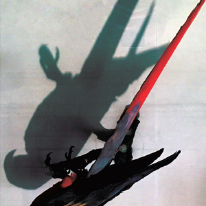 Algo ou Alguem Entre as Arvores