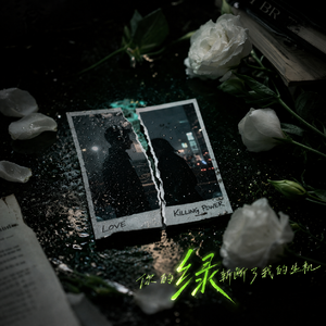 慢慢忘记你