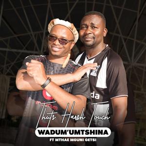 Wadum'umtshina (feat. Mthae Mguni Getsi)