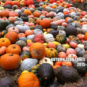 I Just Wanna Future House