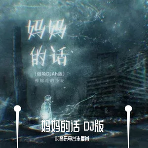 妈妈的话 DJ版