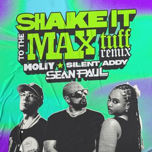 Shake It To The Max (Tuff Remix)