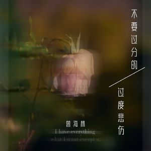 不要过分的过度悲伤