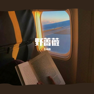 風說的對(野蔷薇)（翻自 张远）