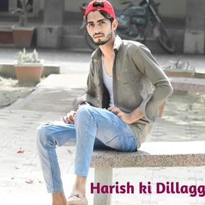 Harish ki Dillaggi