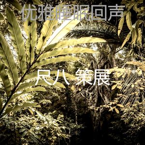 一尘不染冥想印象数