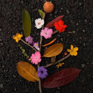《雨天明信片》