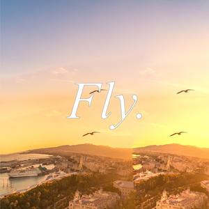 Fly.