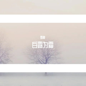 晚夜微雨问海棠