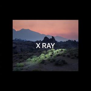 X Ray
