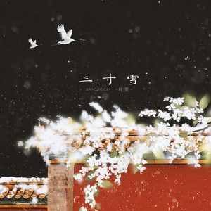 三寸雪 (DJ名龙 Mix)