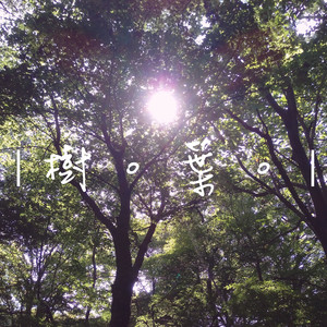 树。叶。