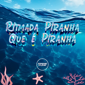 Ritmada piranha que é piranha