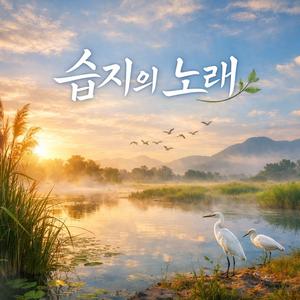 습지의 노래