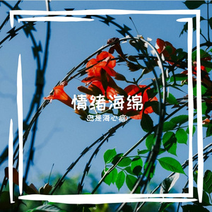 情绪海绵