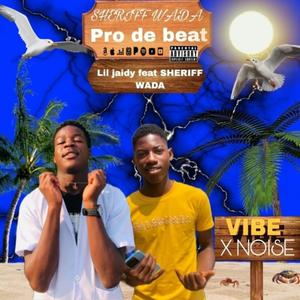 Lil Jaidy - Vibe (feat. Sheriff Wada)