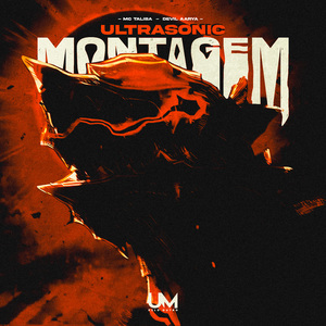 MONTAGEM ULTRASONIC