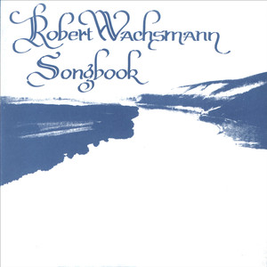 Gabčíkovo (Die slowakische Stadt im Donautiefland)