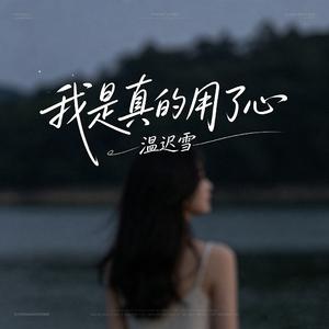 我是真的用了心