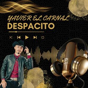 DESPACITO (ACUSTICO)