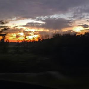 Mask Off（百听不厌）