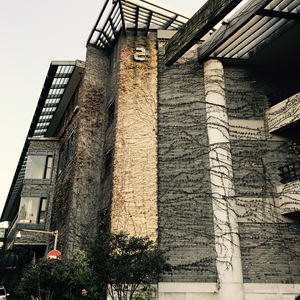 容易受伤的女人（Cover 王靖雯）