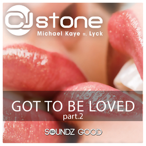 Got To Be Loved (David Bizalo Remix)