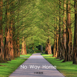No Way Home