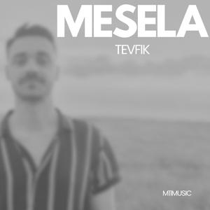 Mesela