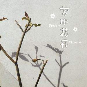 梦中花开