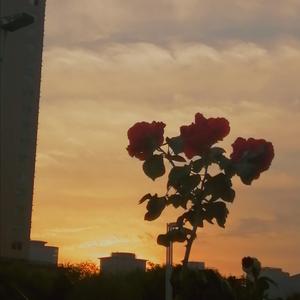 消失在世界尽头 （prod.by IOF）