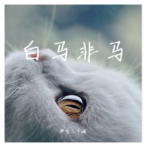 白马非马