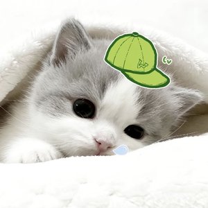 忘了（女生版）