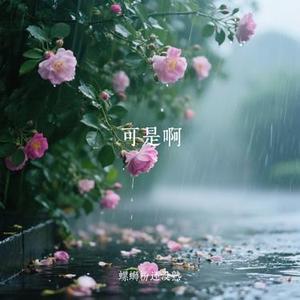 可是啊 (螺蛳粉还没熟 Remix)