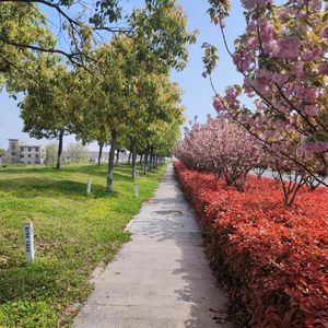 南半球与北海道(吉他)