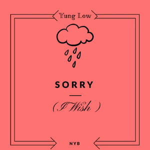 Sorry (I Wish)