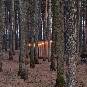 Медленно вниз