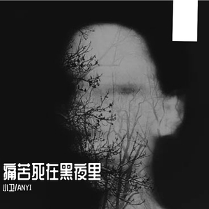 痛苦死在黑夜里