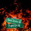 Timmi HendriXXX - Project Living