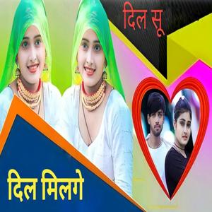 दिल सू दिल मिलगे