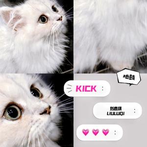 KICK地鼓