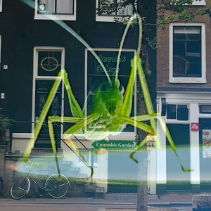 Get out of My Dreams